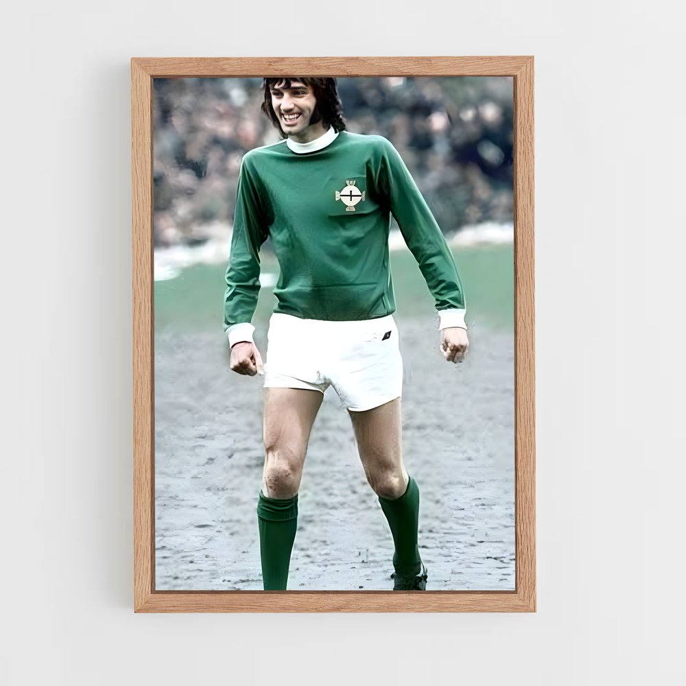 ap-northern ireland national football team-2 cadre Bois clair