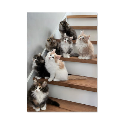 Poster Kittens on the Stairs