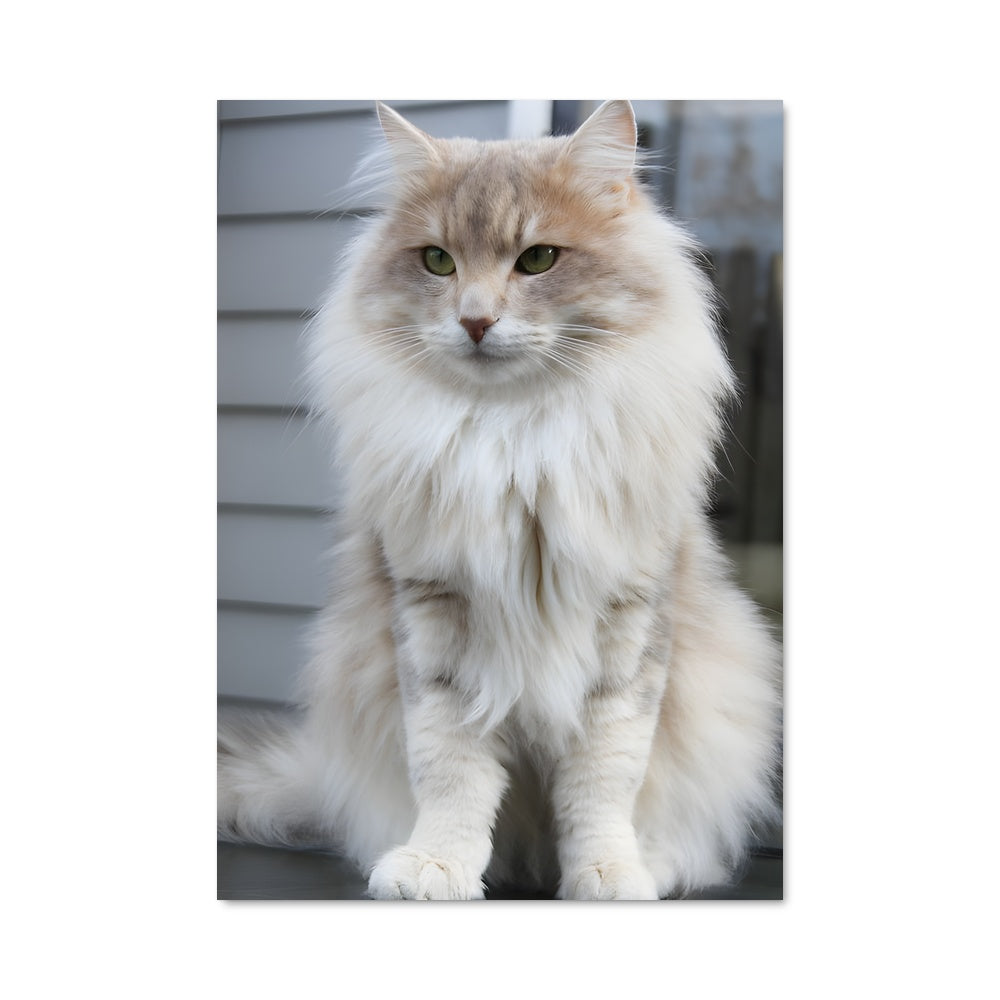 Poster Flocon de Norvège