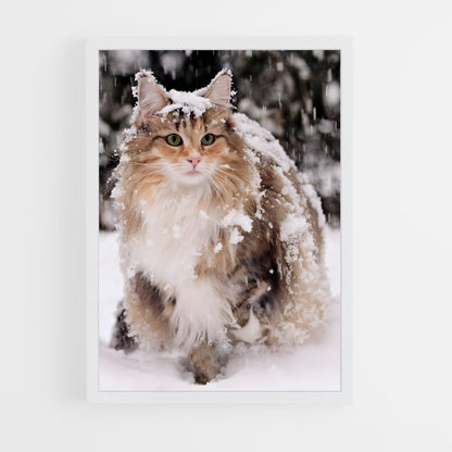 ap-norwegian forest cat-1 cadre Blanc