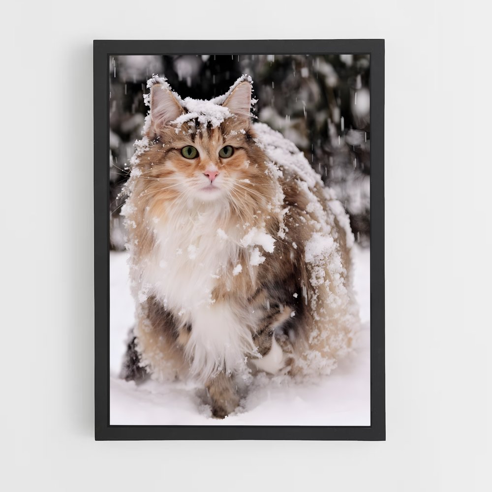 ap-norwegian forest cat-1 cadre Noir