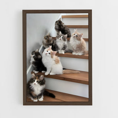 ap-norwegian forest cat-3 cadre Bois foncé