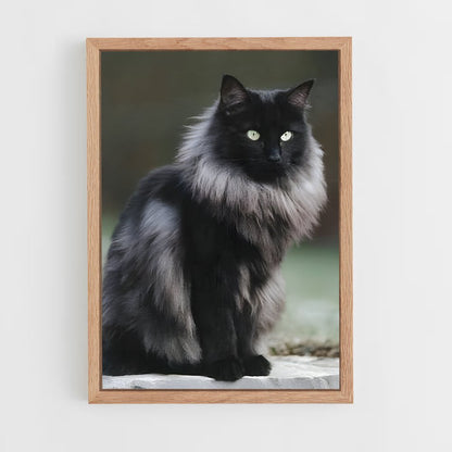 ap-norwegian forest cat-5 cadre Bois clair