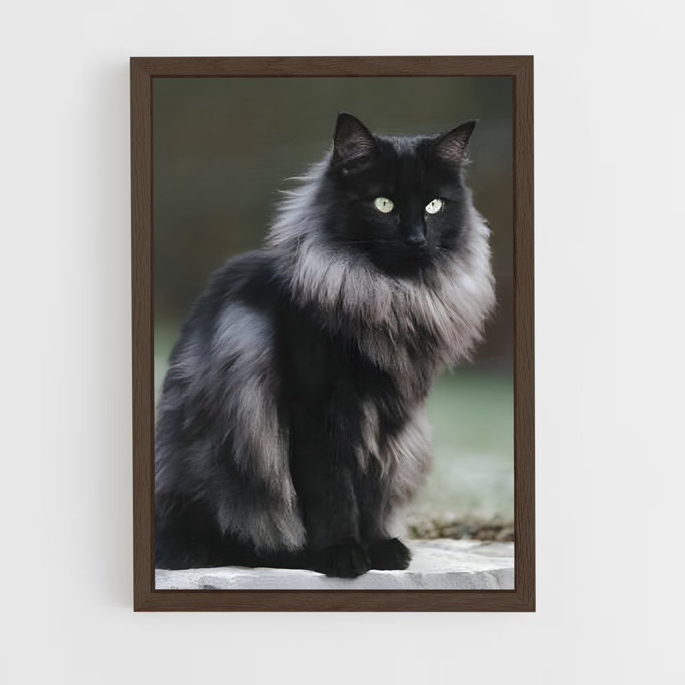ap-norwegian forest cat-5 cadre Bois foncé