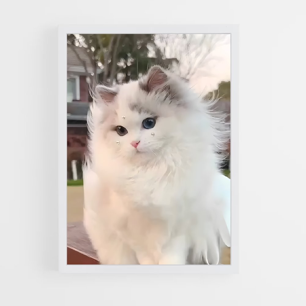 ap-norwegian forest cat-8 cadre Blanc