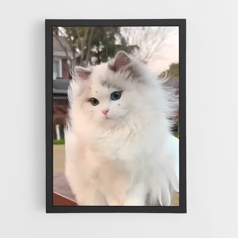 ap-norwegian forest cat-8 cadre Noir