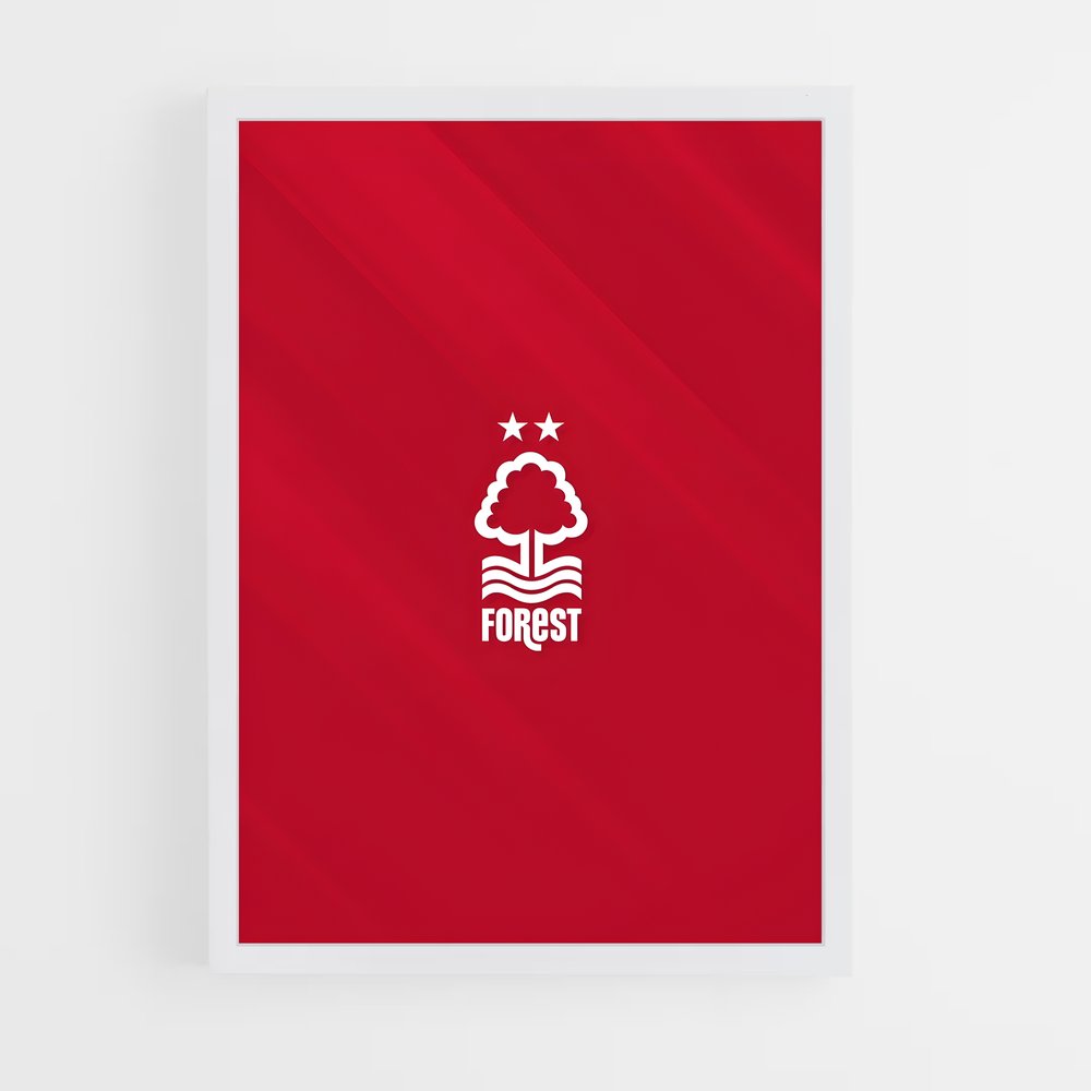 ap-nottingham forest fc-1 cadre Blanc