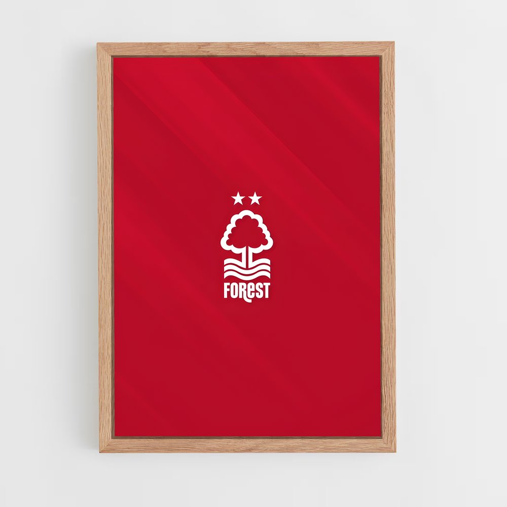 ap-nottingham forest fc-1 cadre Bois clair