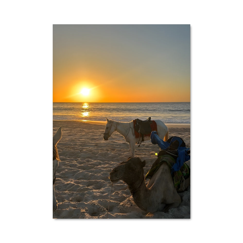 Poster Dunes et Palmiers