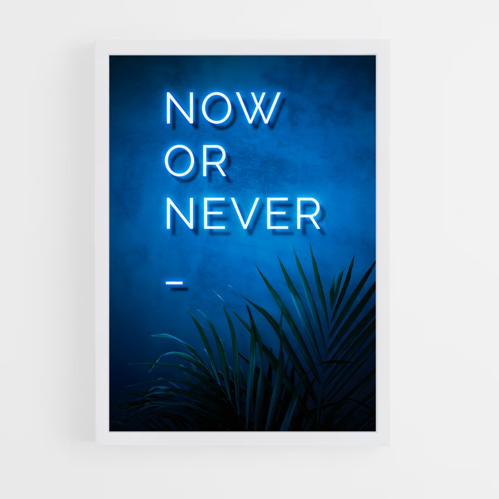 ap-now or never-1 cadre Blanc