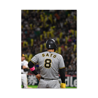 Poster Npb 58412