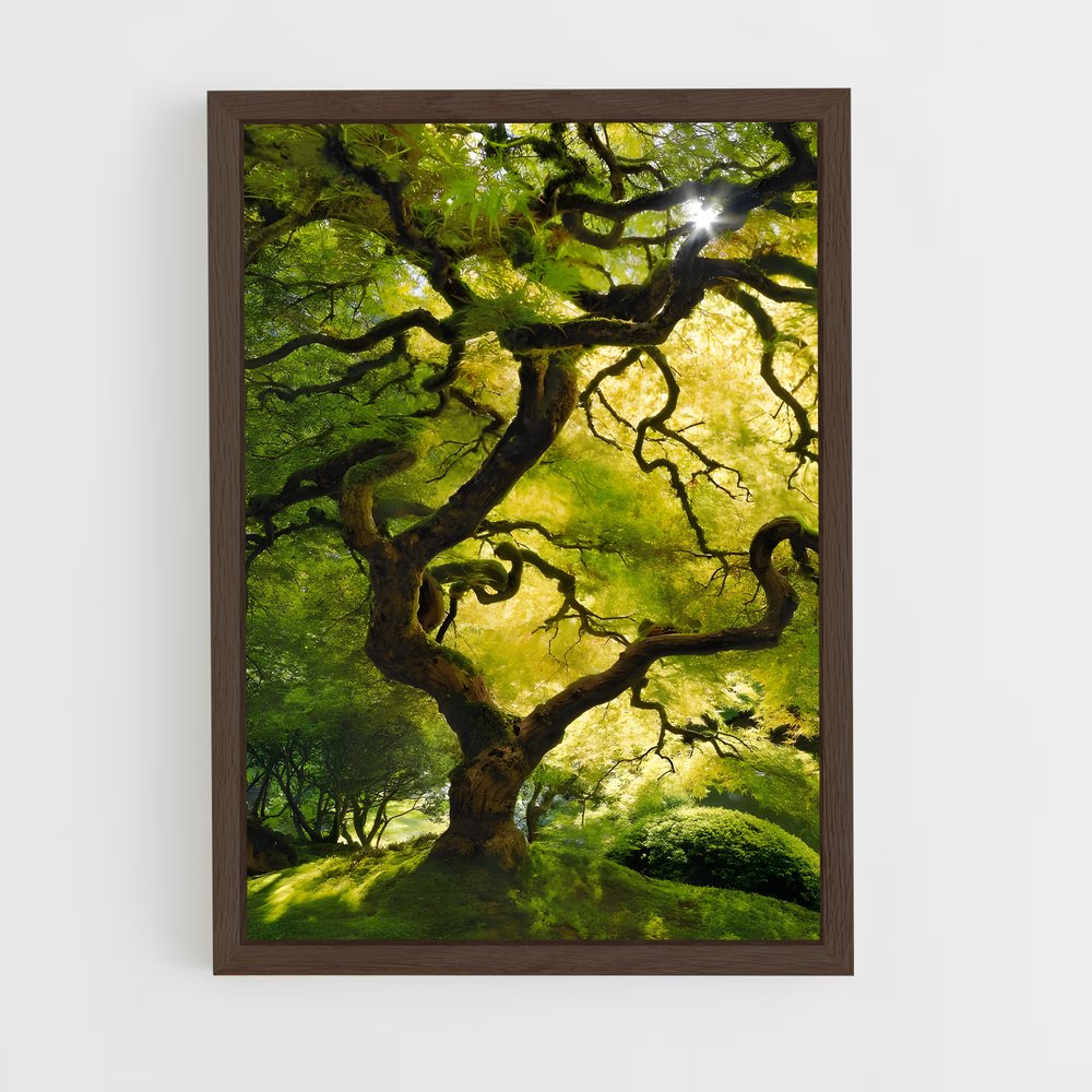 ap-oak-2 cadre Bois foncé
