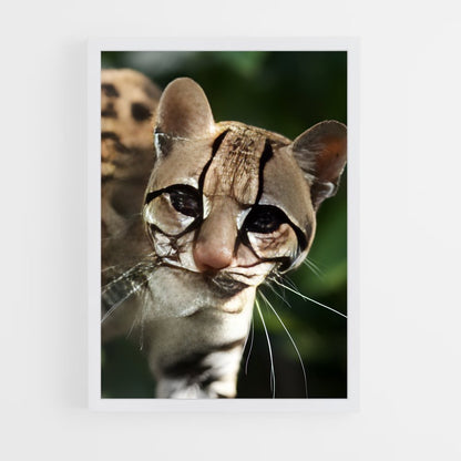ap-ocelot-4 cadre Blanc