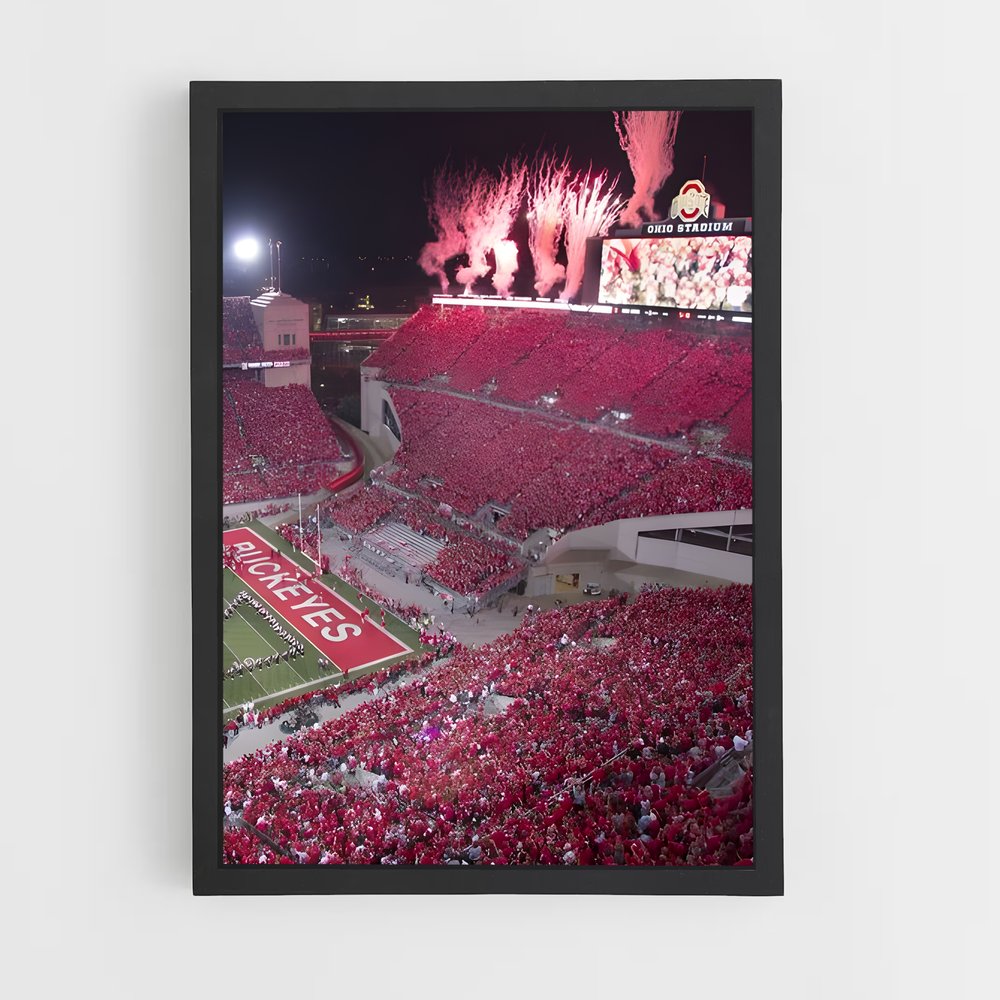 ap-ohio state buckeyes-7 cadre Noir