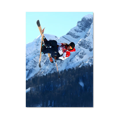 Poster Saut Libre
