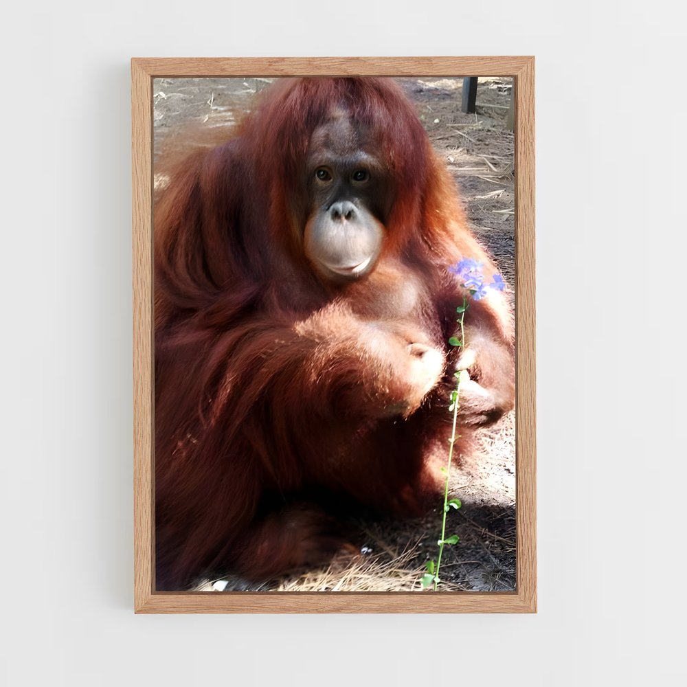 ap-orangutan-5 cadre Bois clair