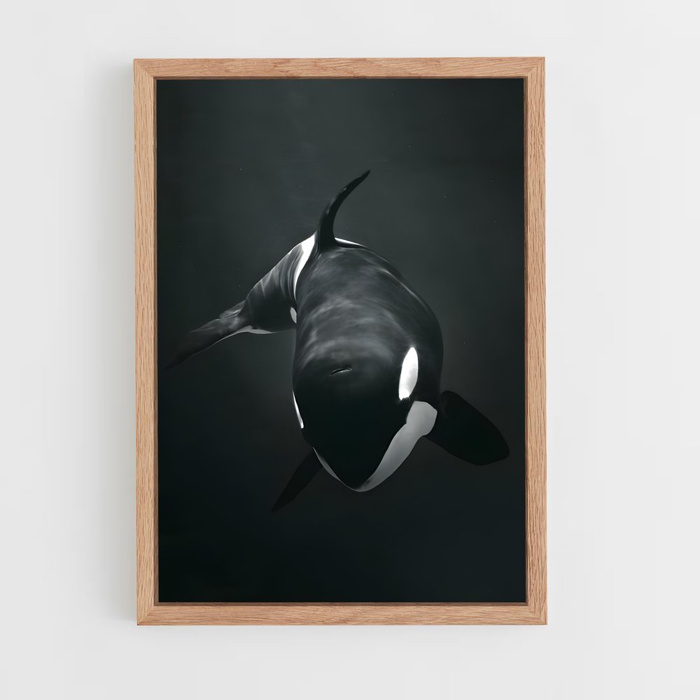 ap-orca-1 cadre Bois clair