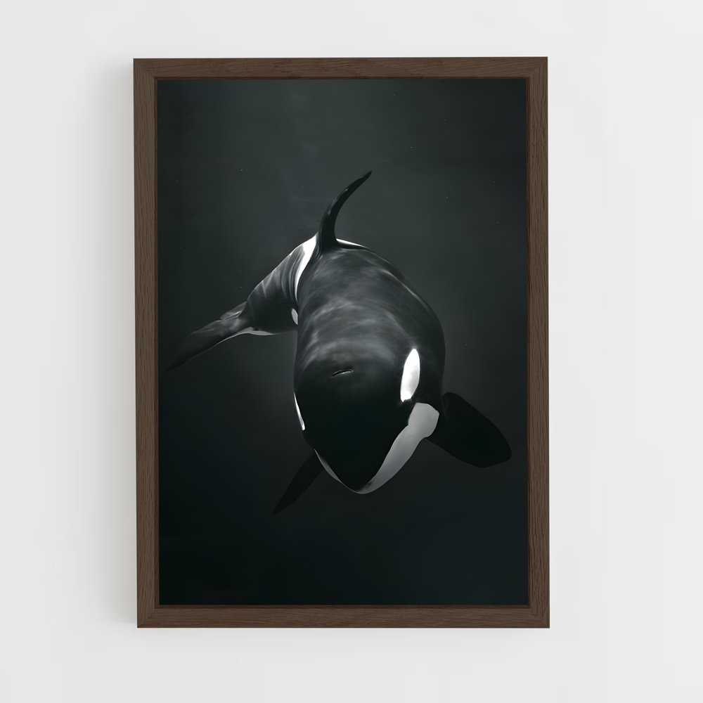 ap-orca-1 cadre Bois foncé