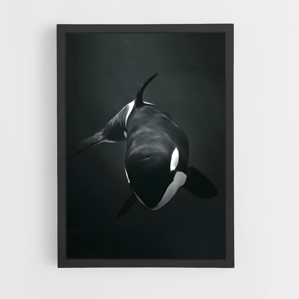 ap-orca-1 cadre Noir