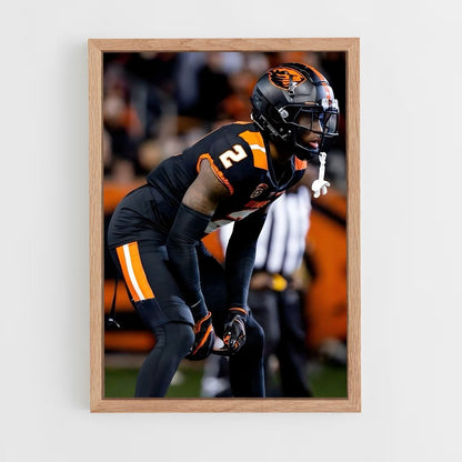 ap-oregon state beavers-3 cadre Bois clair