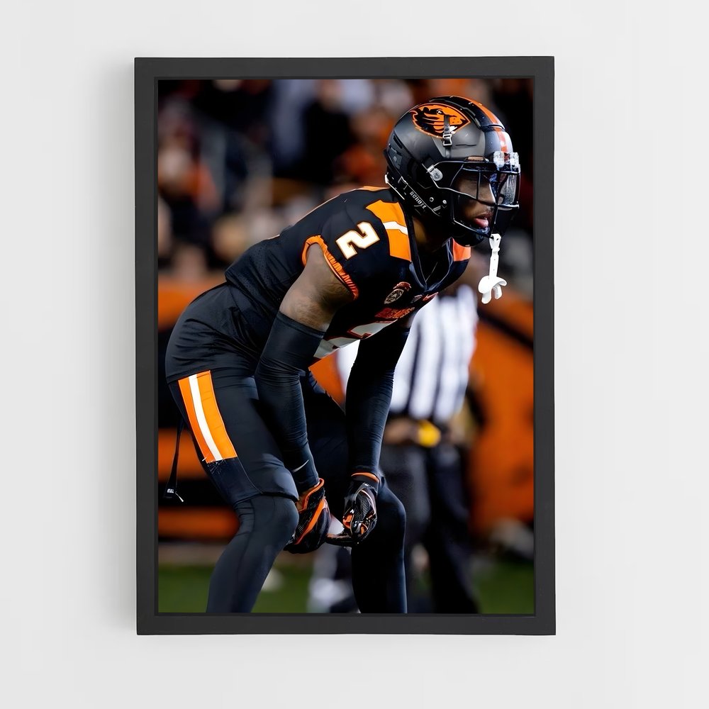 ap-oregon state beavers-3 cadre Noir