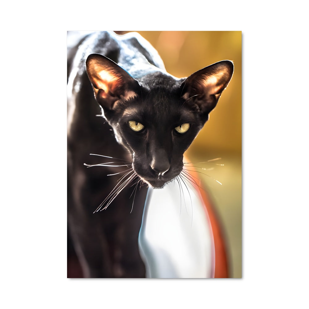 Poster Félin Mystique