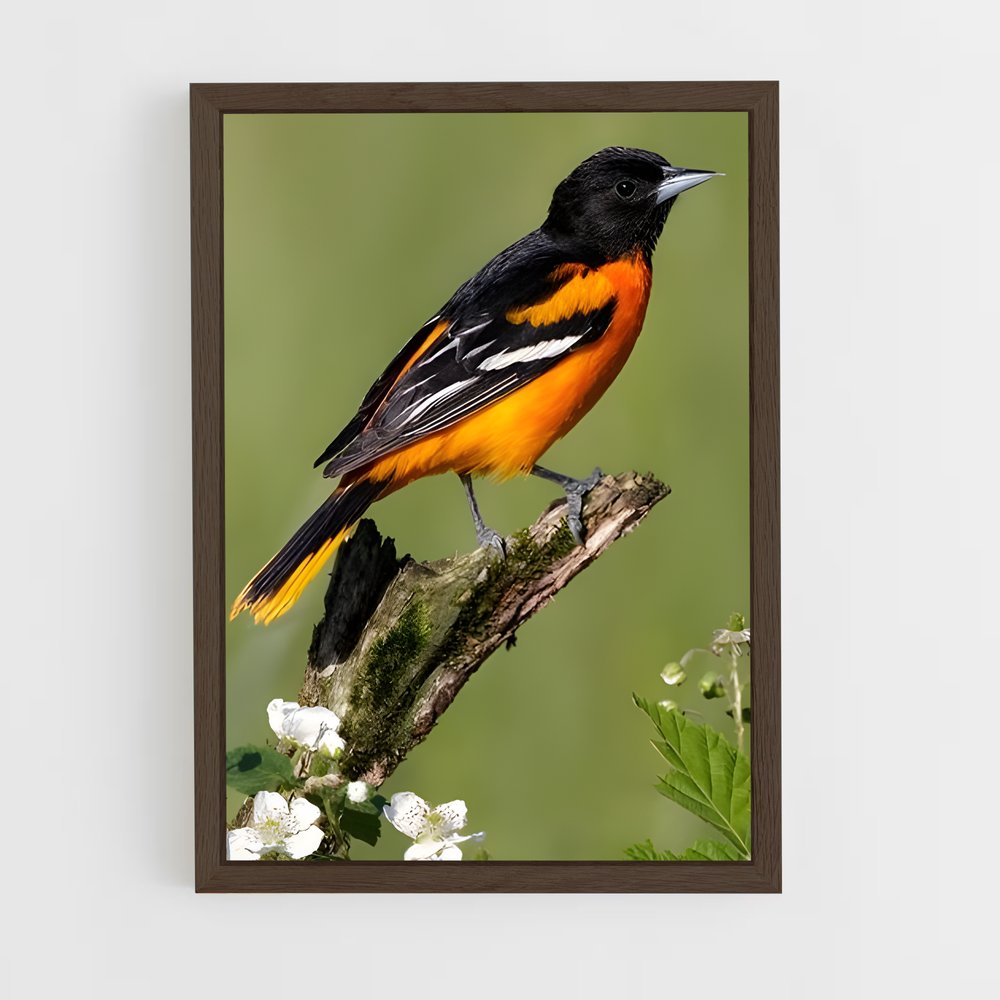 ap-oriole-1 cadre Bois foncé