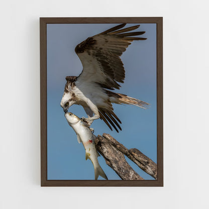 ap-osprey-6 cadre Bois foncé