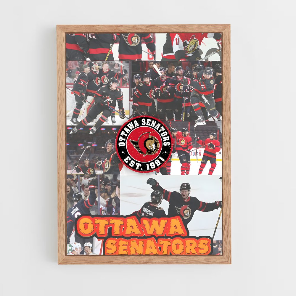 ap-ottawa senators-2 cadre Bois clair