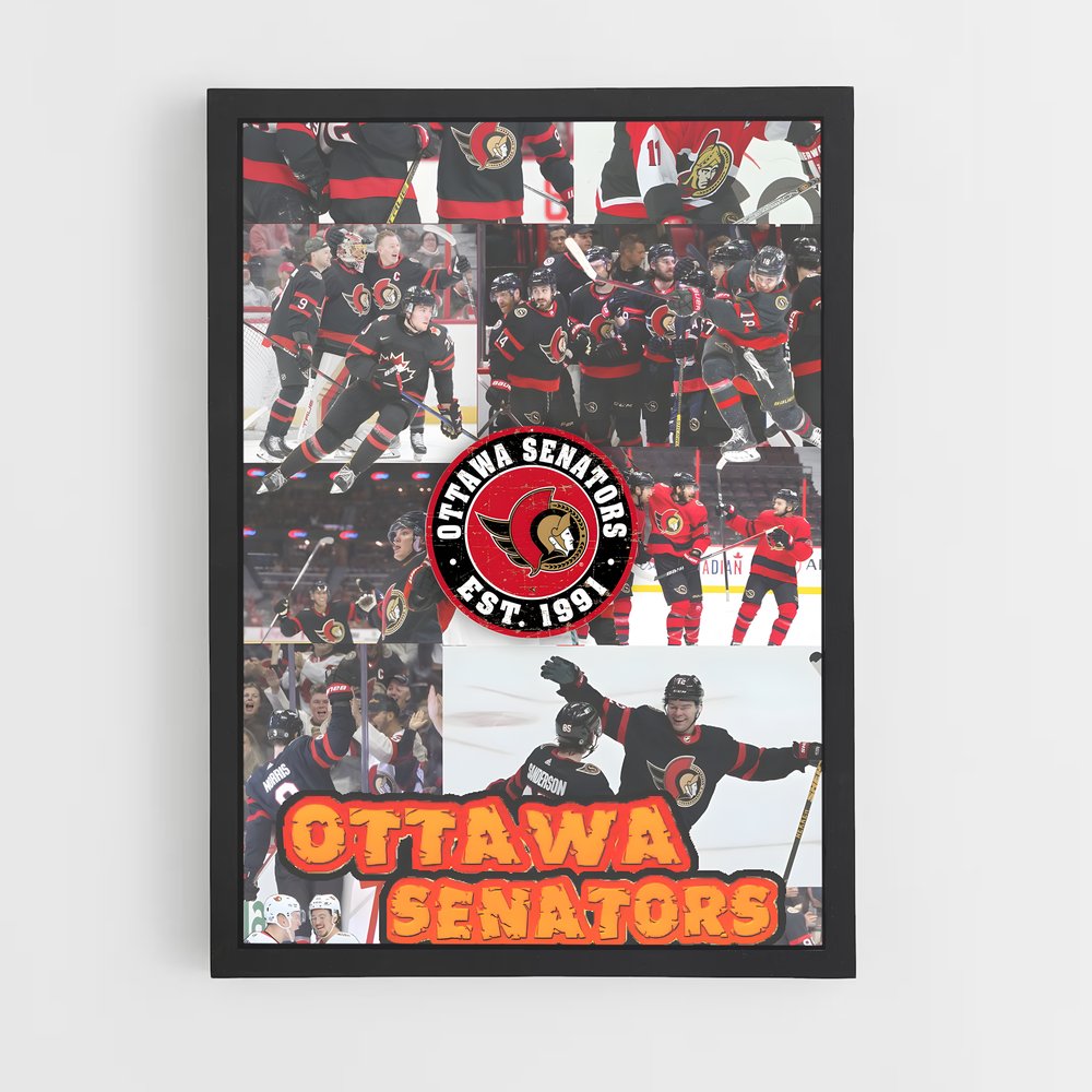 ap-ottawa senators-2 cadre Noir