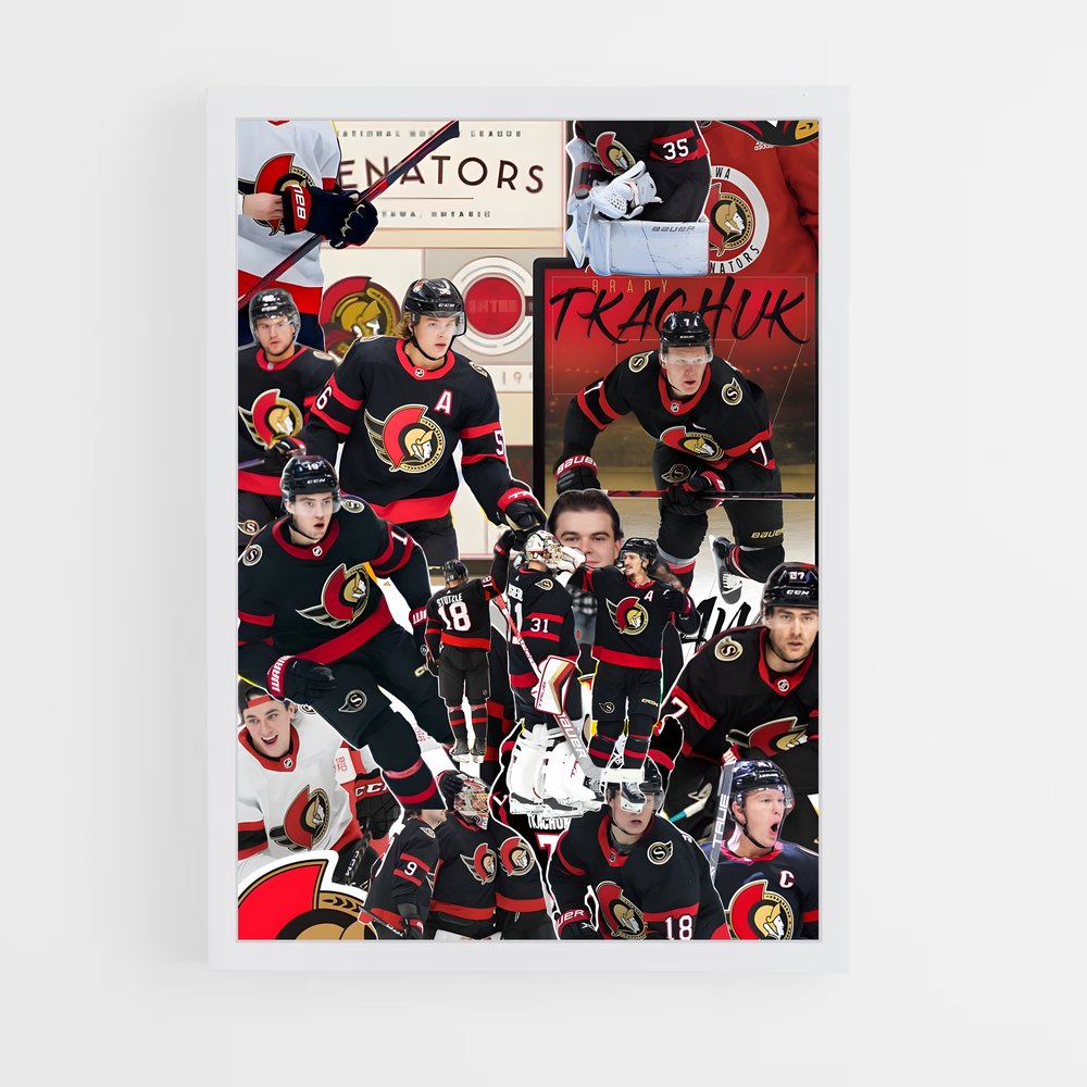 ap-ottawa senators-3 cadre Blanc