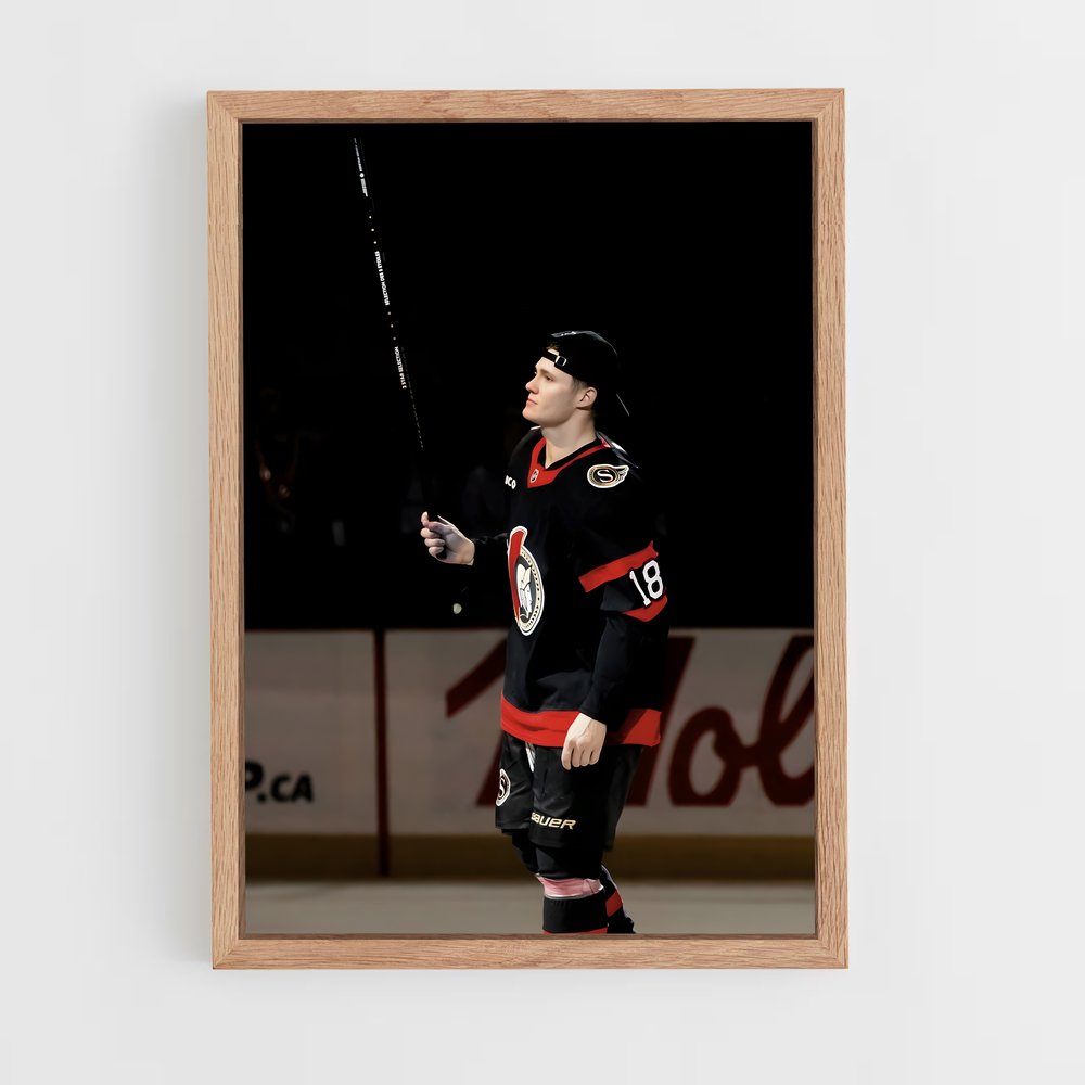 ap-ottawa senators-5 cadre Bois clair
