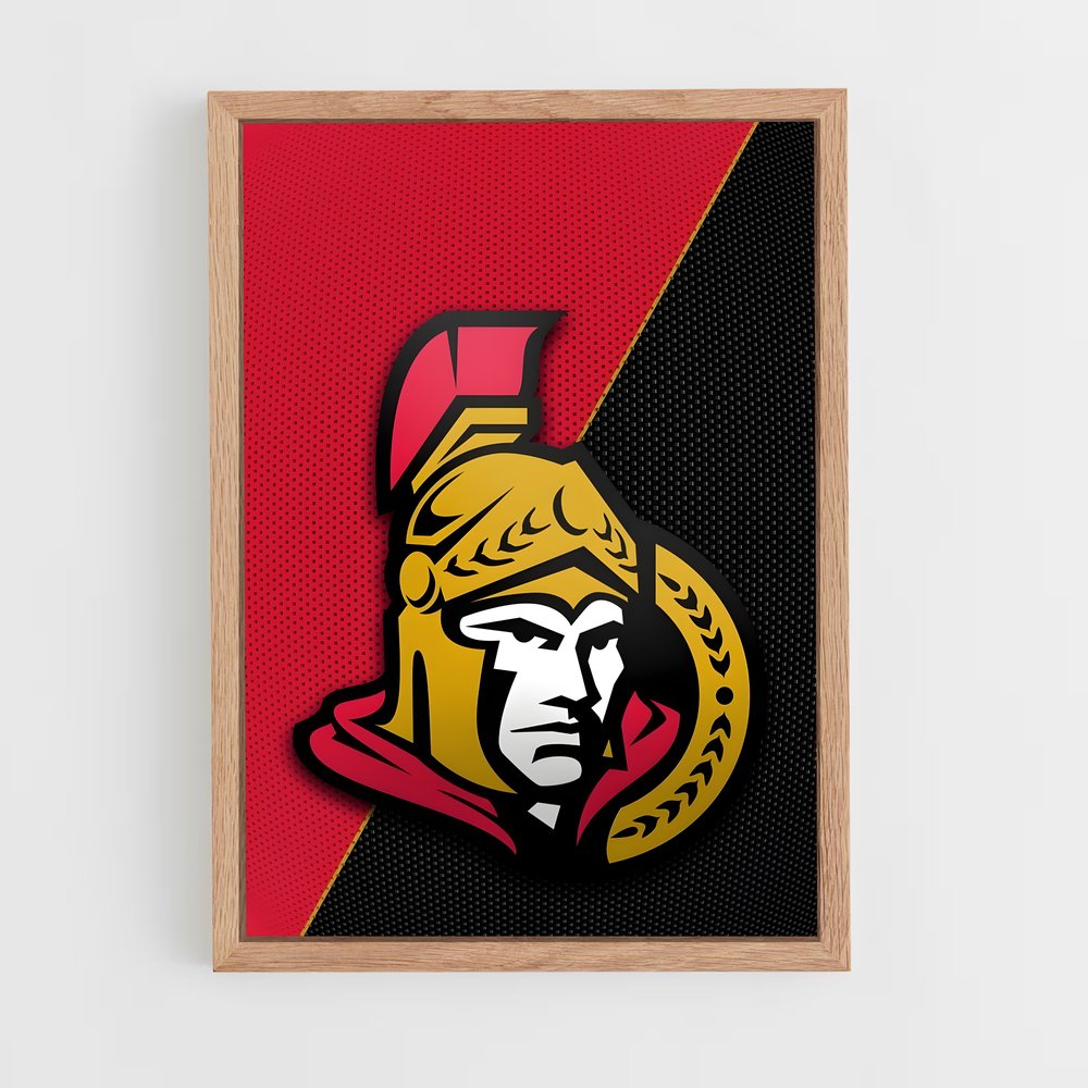 ap-ottawa senators-6 cadre Bois clair