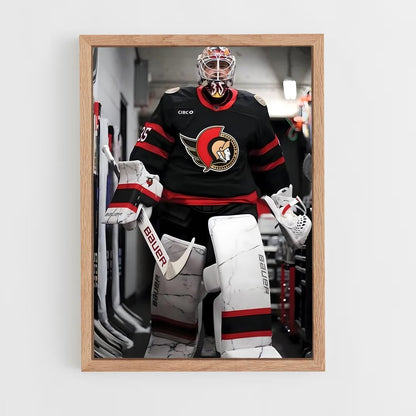 ap-ottawa senators-8 cadre Bois clair