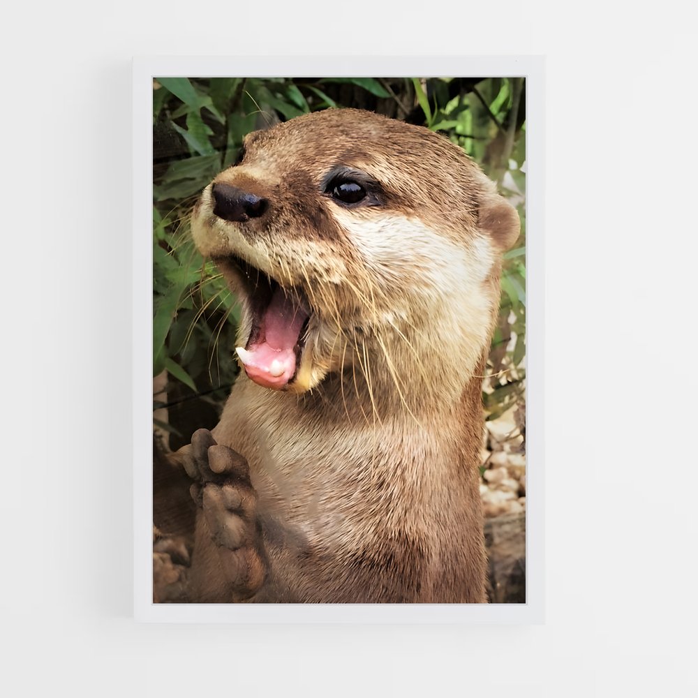 ap-otter-8 cadre Blanc