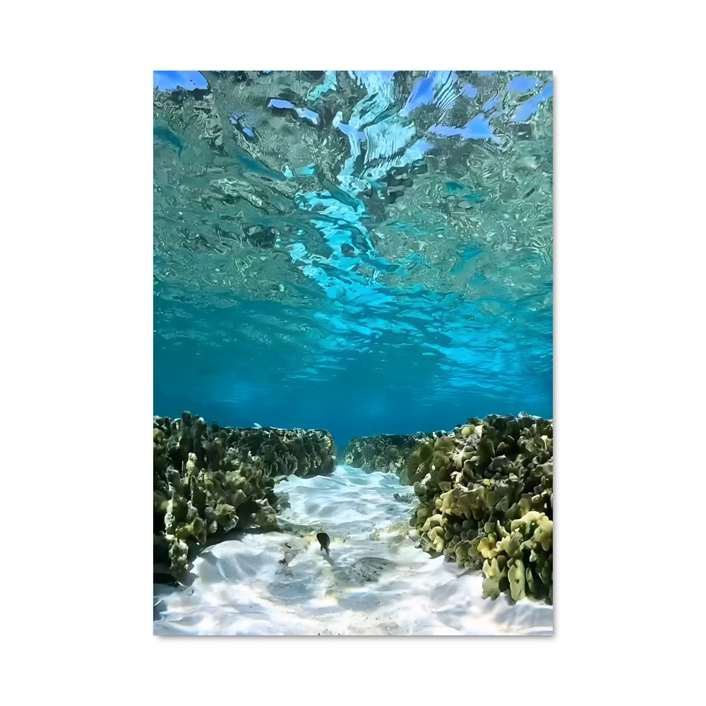 Poster Pacific ocean 97285