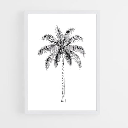 ap-palm-7 cadre Blanc