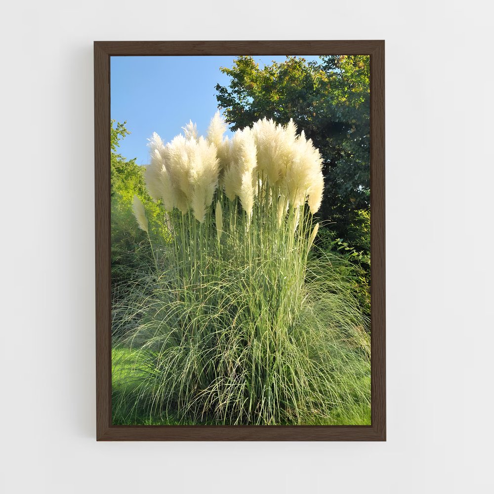 ap-pampas grass-1 cadre Bois foncé