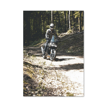 Poster Pan america 1250 82219