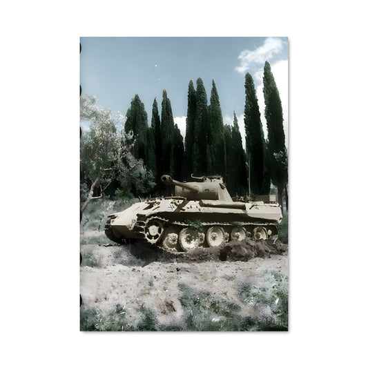 Poster Panthère de Fer