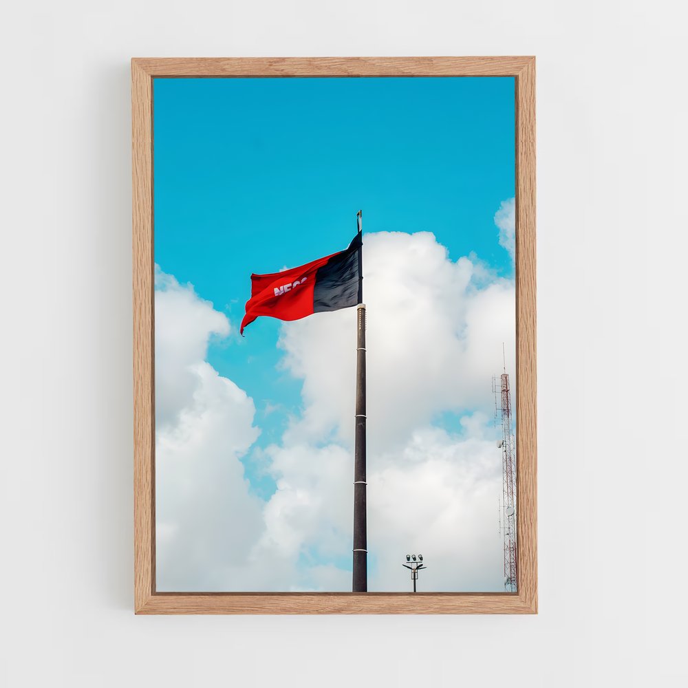 ap-paraiba flag-1 cadre Bois clair