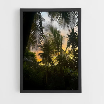 ap-paramaribo-6 cadre Noir