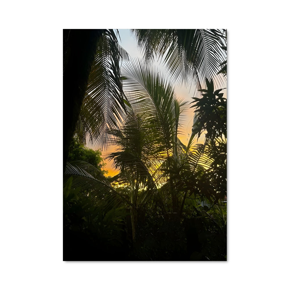 Poster Paramaribo 94055