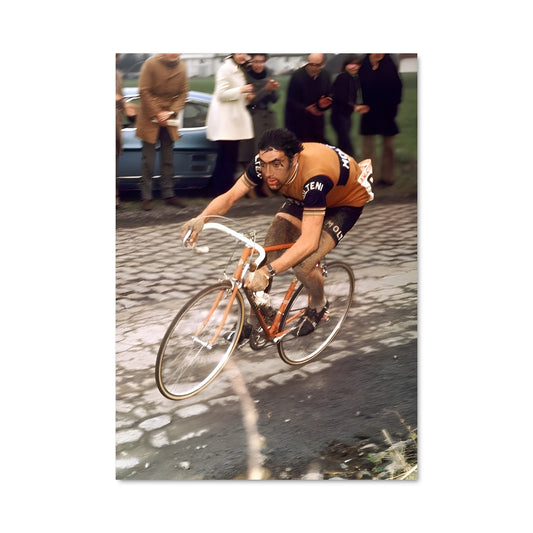 Poster Roubaix en Selle