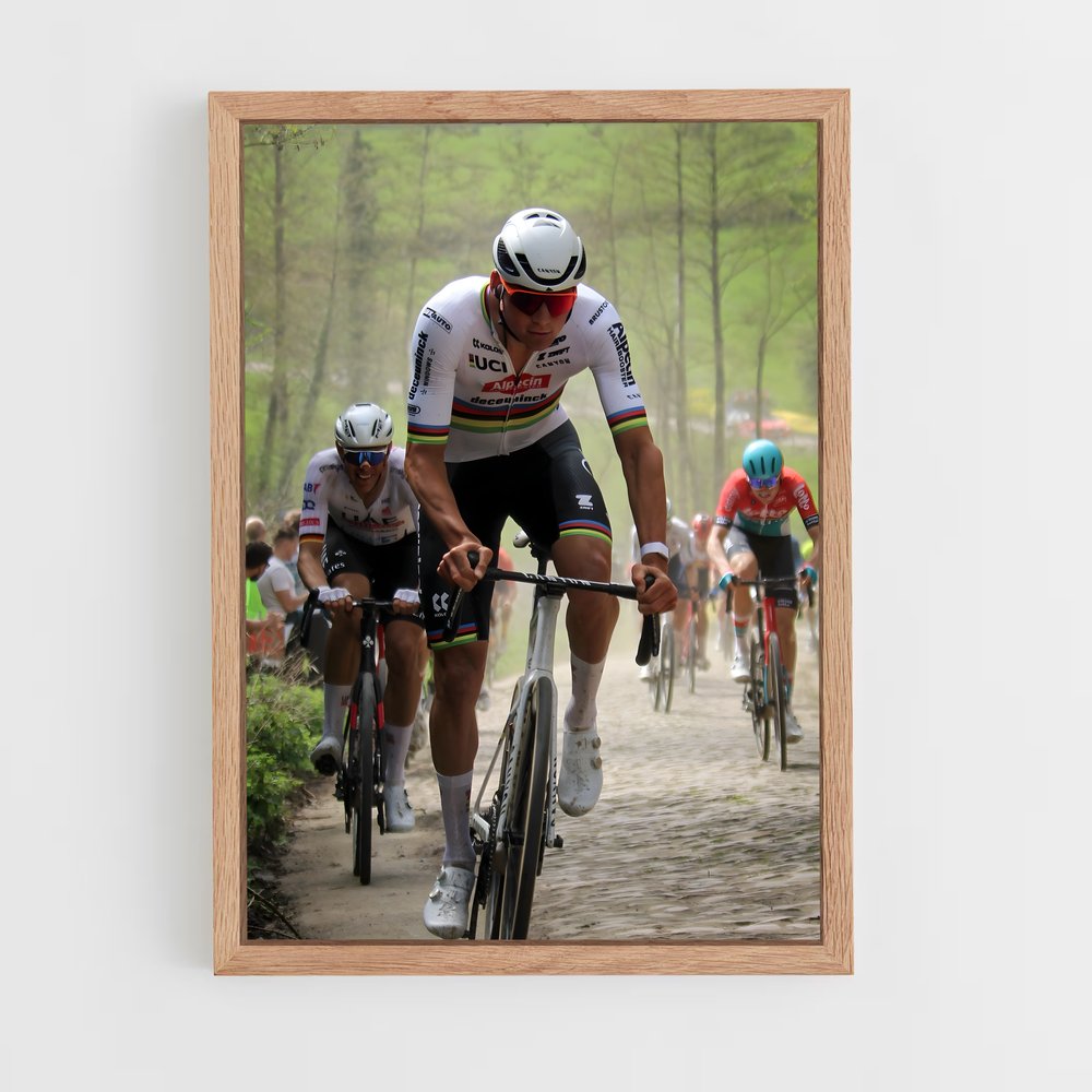 ap-paris-roubaix-3 cadre Bois clair