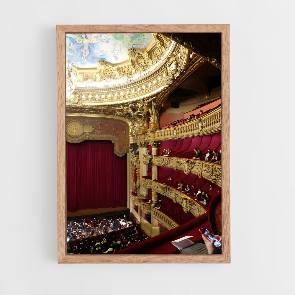 ap-paris opera ballet-1 cadre Bois clair