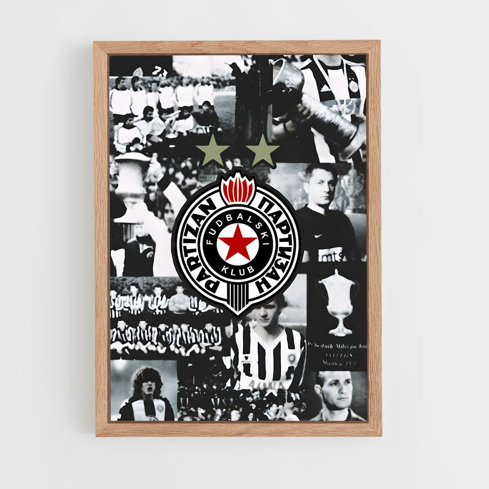 ap-partizan belgrade basketball-6 cadre Bois clair