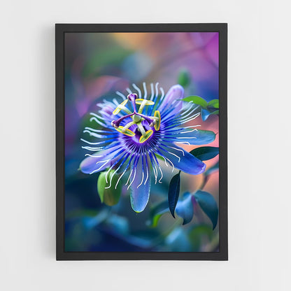 ap-passion flower-4 cadre Noir