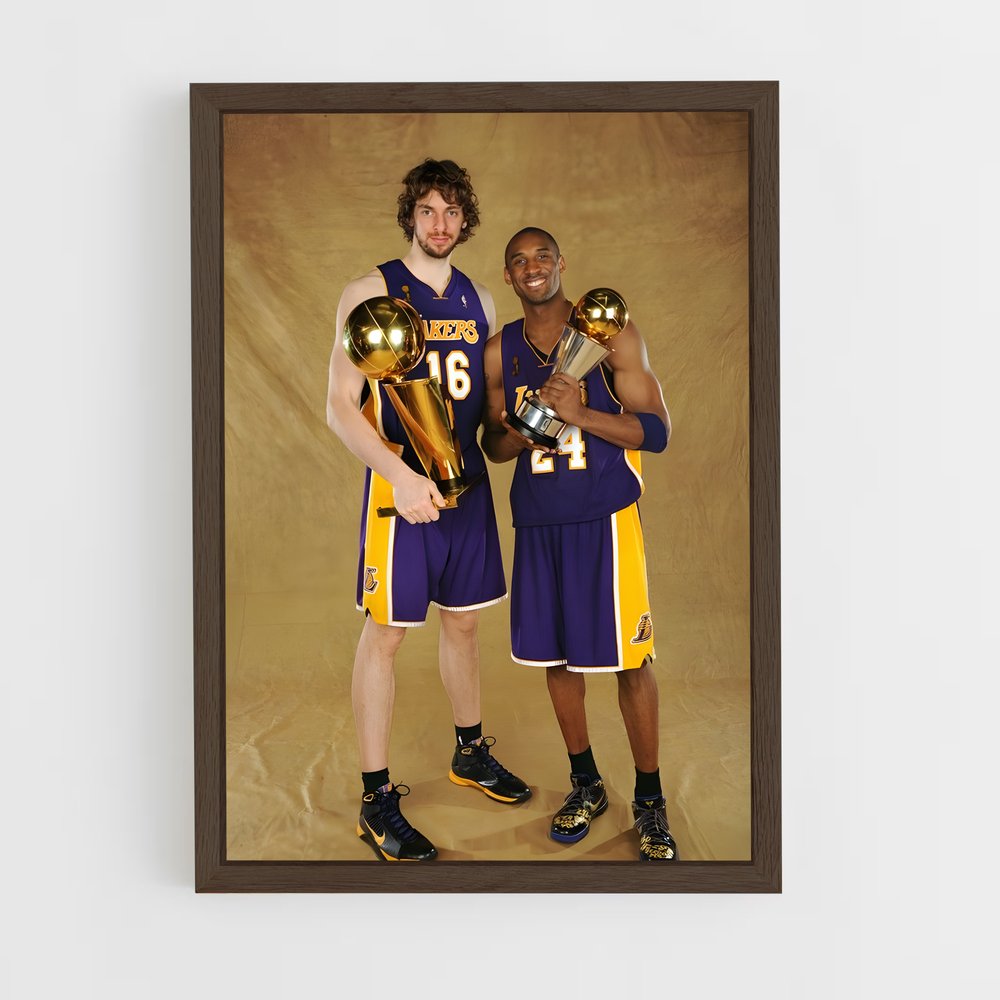 ap-pau gasol-4 cadre Bois foncé