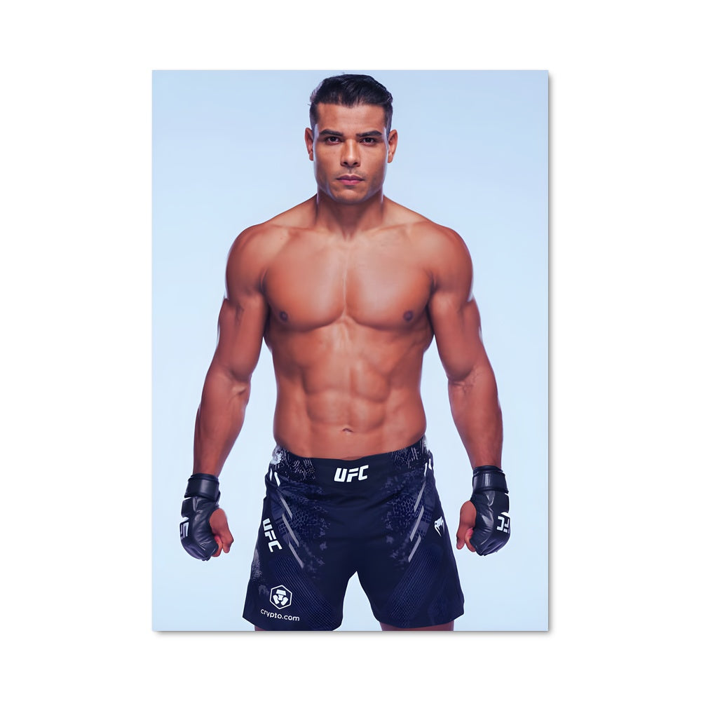 Poster Octagon Fury